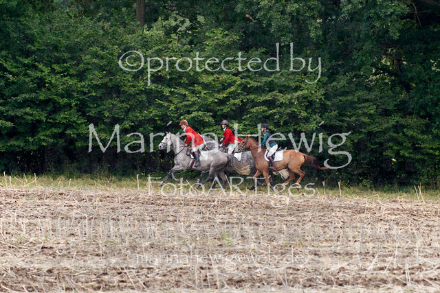 _MCH7889_Marina Hewig | Fotografie, FotoArt, PferdesportArt, Pferdesportfotografie, Landschaftsfotografie, Reisefotografie, Reise, Pferde - Realisiert mit Pictrs.com