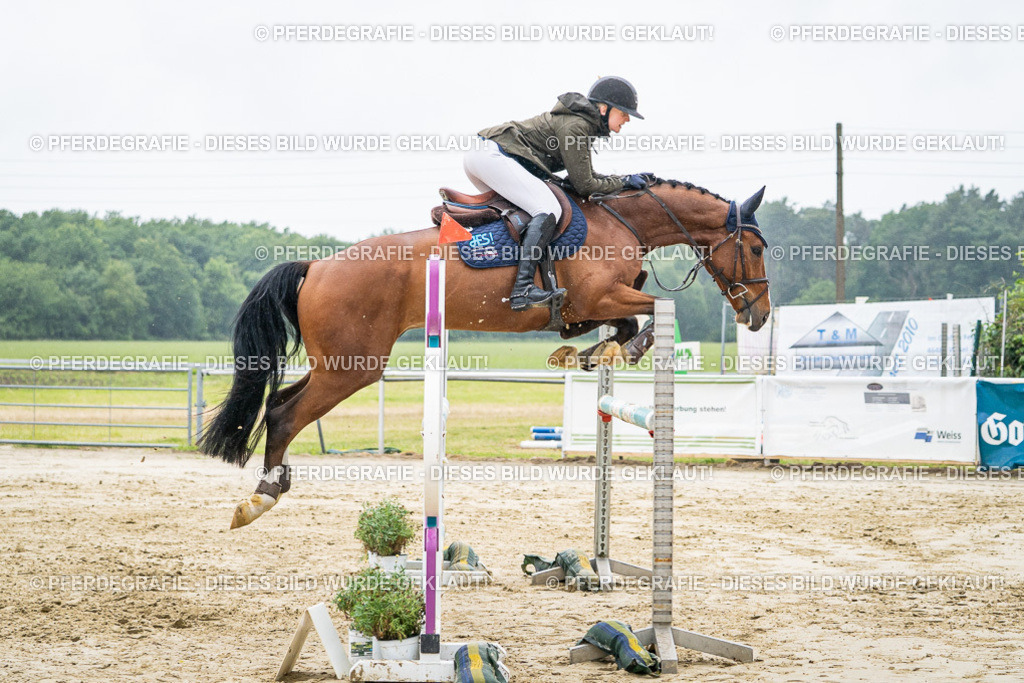 DSC02178 | Pferdegrafie