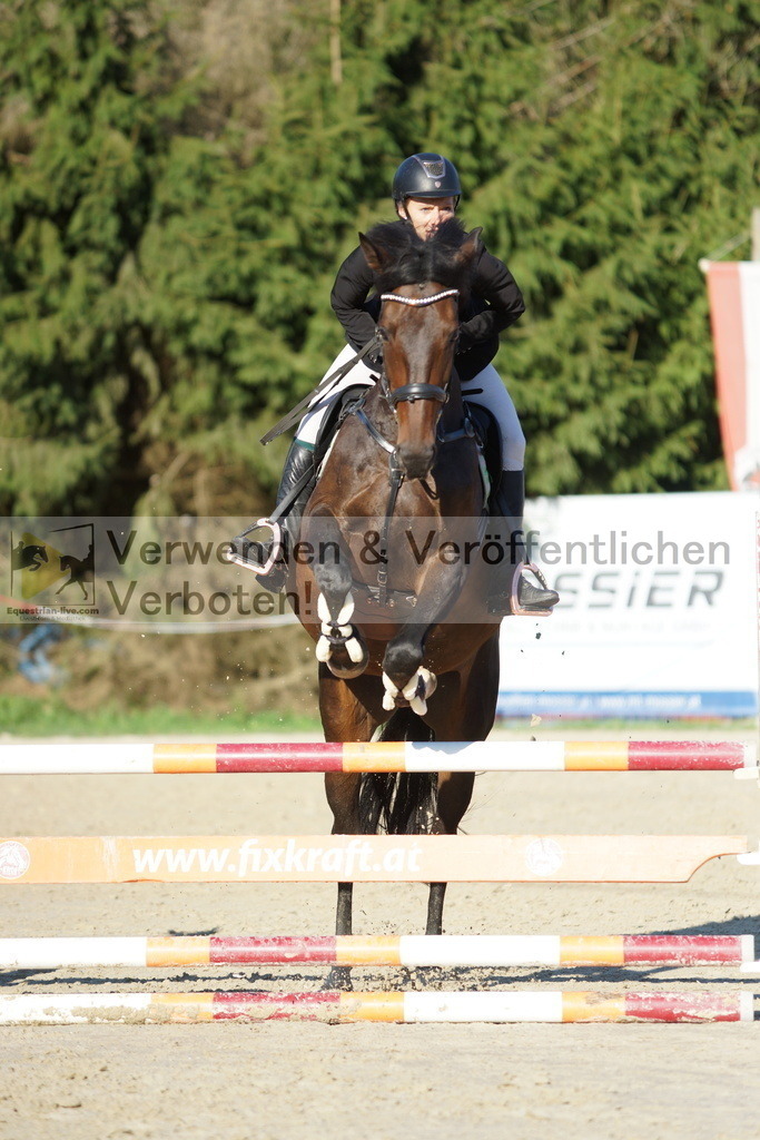 DSC09450 | equestrian-live-com