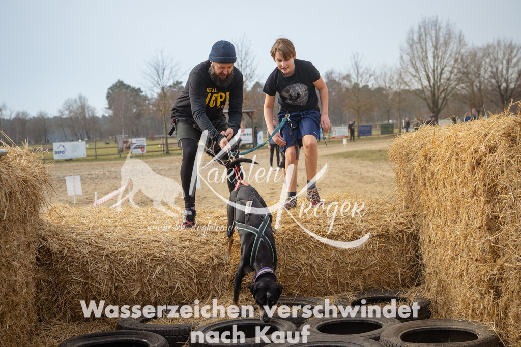 1040_ZZ97521 | kk-dogfotos