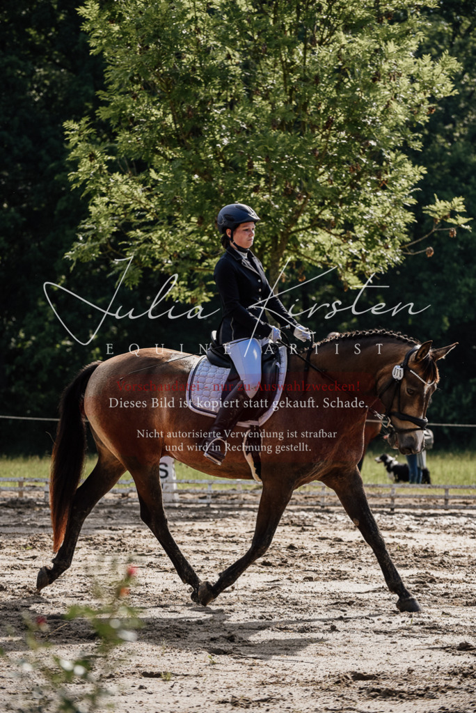 DSC_9234 | Pferde- und Turnierfotografie in Westsachsen. Pferdeportraits, Auftragszeichnungen und intuitive Kunst.