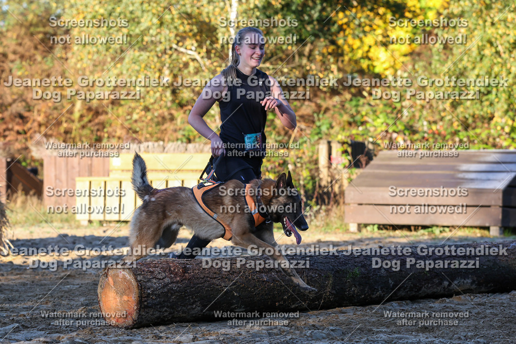 Dog Paparazzi - Strongdog 10-25-779 | Dog Paparazzi Jeanette Grottendiek Fotografie & Videografie - Realisiert mit Pictrs.com