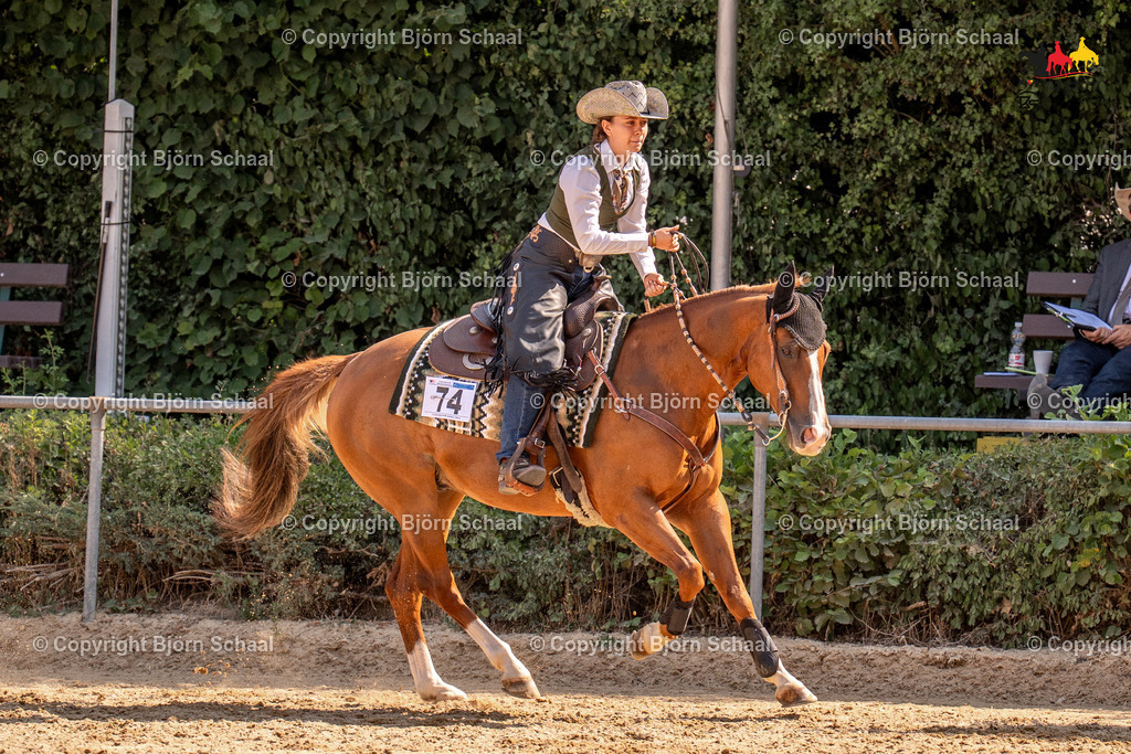 LMS05743 | BS-foto