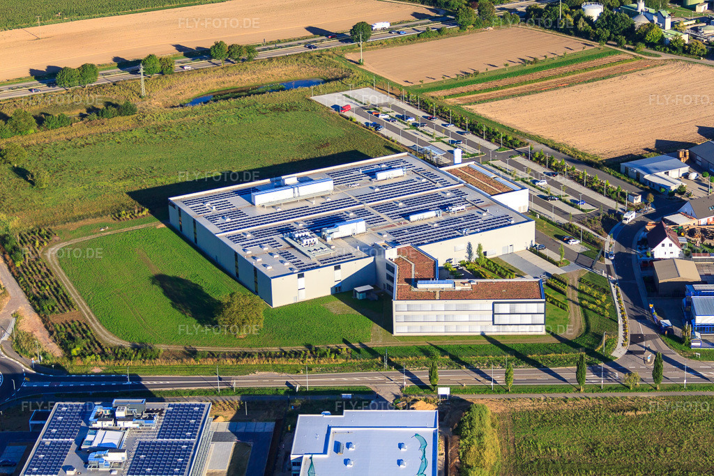 Luftbild: dBK David + Baader GmbH in Rülzheim im Bundesland Rheinland-Pfalz in Deutschland. – Foto: IMG_59609.jpg vom 04.09.2013 durch Werner Riehm/FLY-FOTO.de – Auflösung des Originals: 4752 x 3168 px – DBK Gruppe - Ihr Partner rund ums Heizen & Kühlen