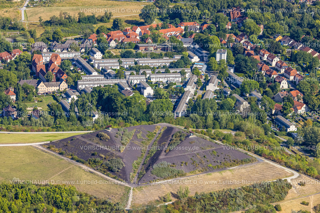 Gelsenkirchen220801636Buer | Luftbild, Rungenberghalde, Buer, Gelsenkirchen, Ruhrgebiet, Nordrhein-Westfalen, Deutschland