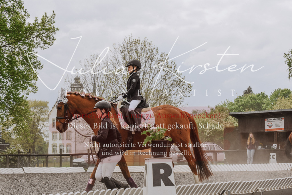 20230514_JK-Röhrsdorf-25-214 | Pferde- und Turnierfotografie in Westsachsen. Pferdeportraits, Auftragszeichnungen und intuitive Kunst.