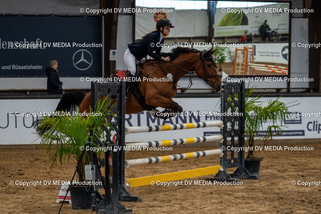 Kranichstein Tag 2-044 | dv-media-shop - Realisiert mit Pictrs.com