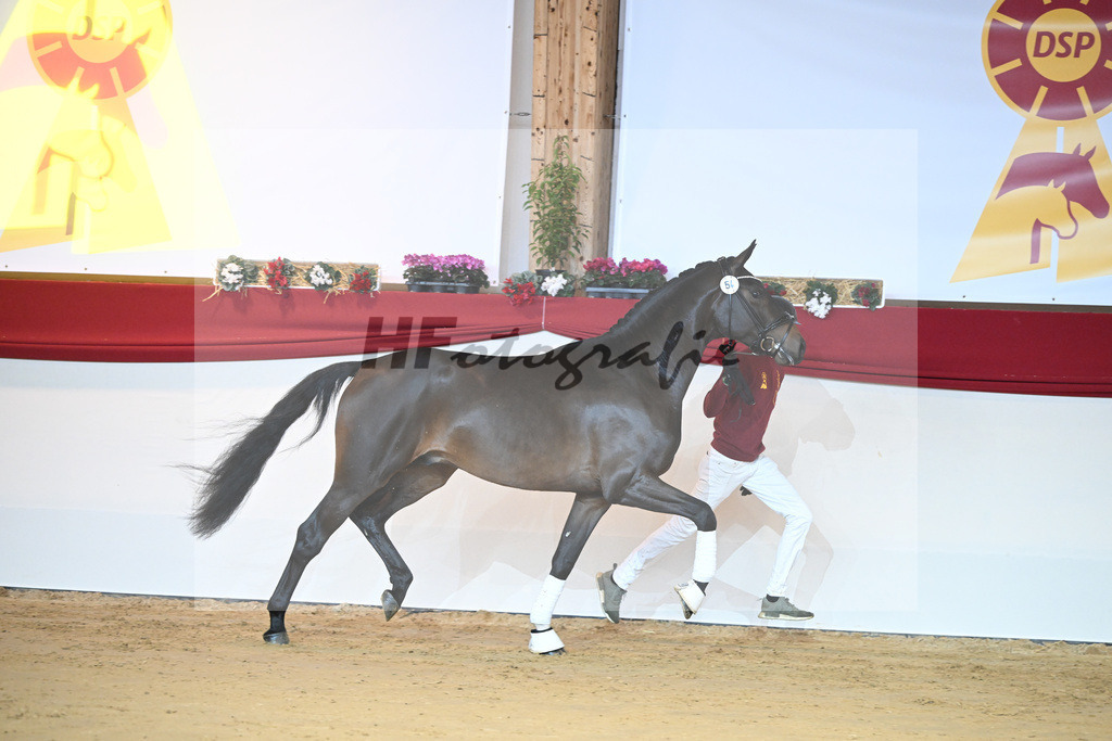 Kat-Nr. 54 Feinrich_Ruediger_1231366 | hf-fotografie - Realisiert mit Pictrs.com