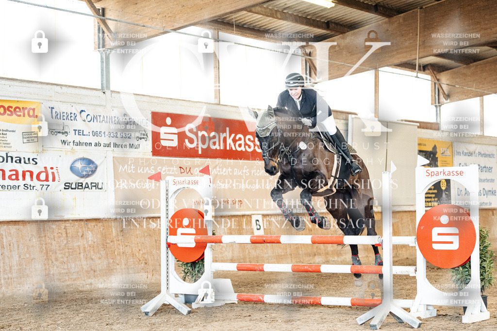 CK904962 | Turnierfotografie Pferdefotografie Trier Rheinland-Pfalz Pferdesport Reitsport Tierfotografie Sportfotografie Pferdevideo Pferdevideografie Equestrianvideography equestrianphotography  - Realized with Pictrs.com