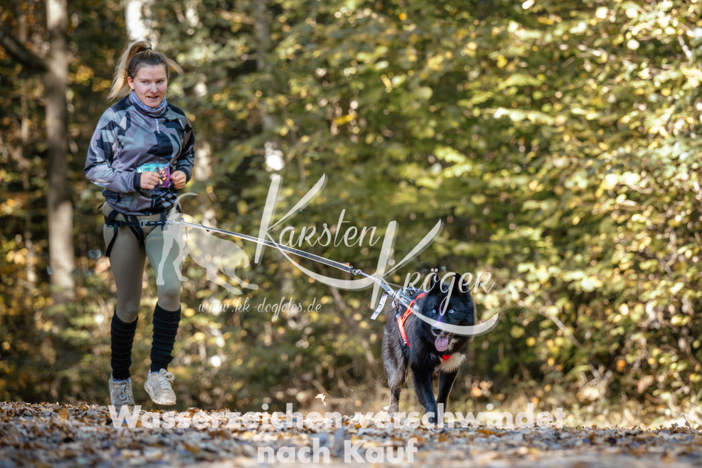 1128_ZZ92505 | kk-dogfotos