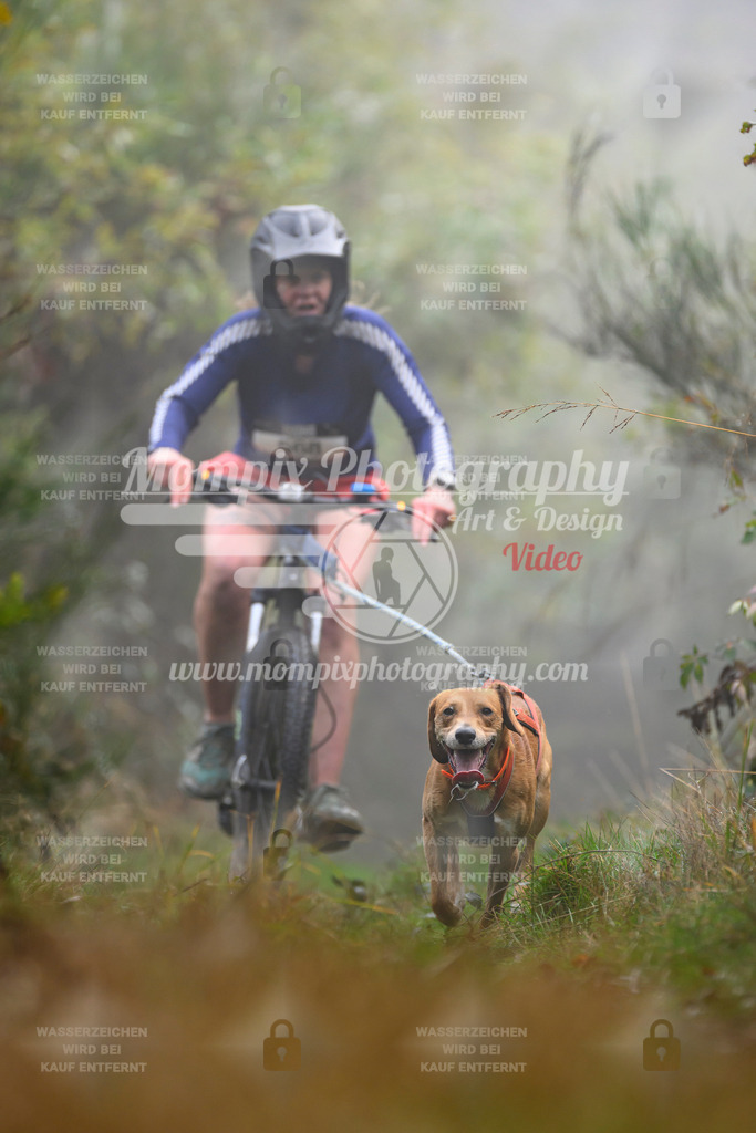 MompixPhotography_20TSB_E4_Bike-155 | PayLife