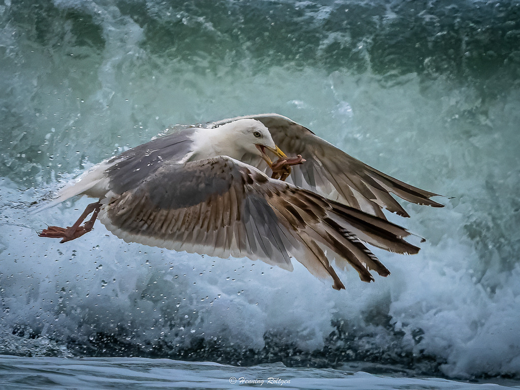 _Final-02783-(P7191571-19.07.2026) | henroe-photoart-shop
