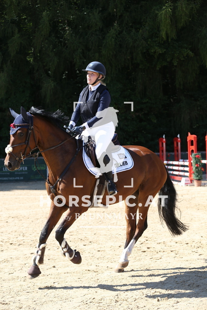 DL2Q8179 | Willkommen bei Brunnmayr - Design & Fotografie – Ihrem Spezialisten für Reitturniere und Pferdeveranstaltungen in Oberösterreich, Salzburg und Bayern! Seit über 17 Jahren sind wir leidenschaftlich dabei.