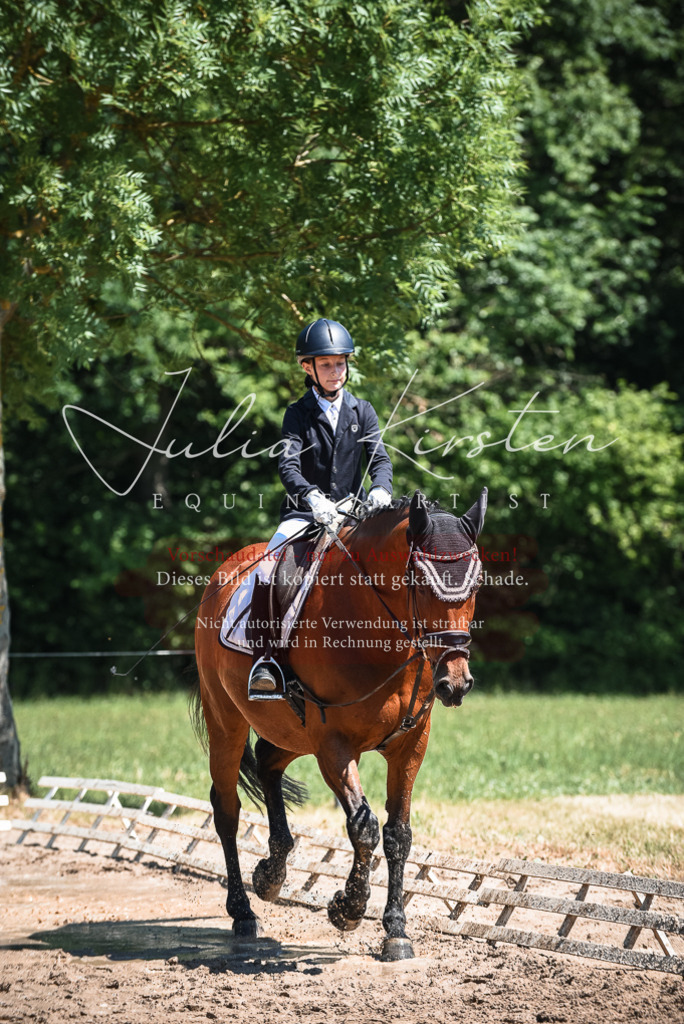 DSC_2950 | Pferde- und Turnierfotografie in Westsachsen. Pferdeportraits, Auftragszeichnungen und intuitive Kunst.