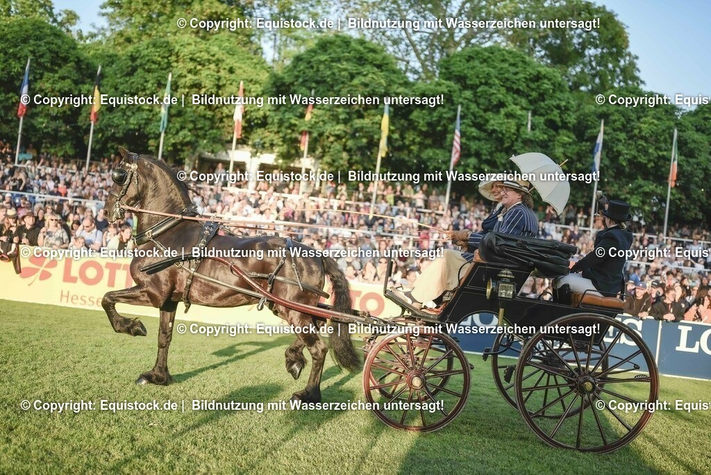 20230526_Pferdenacht_0096 | equistock