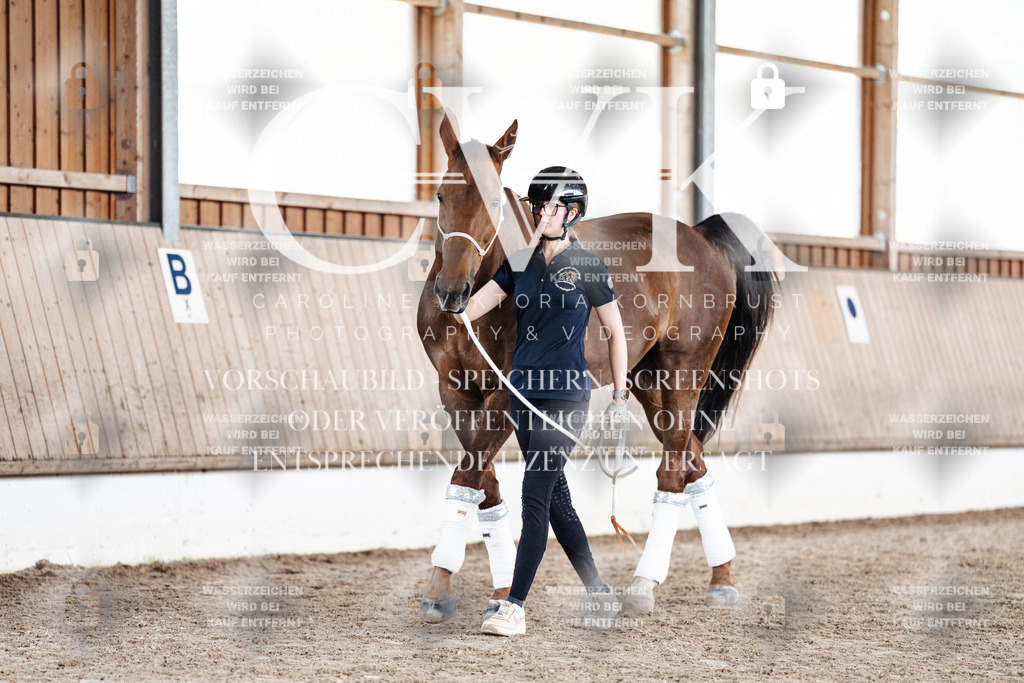 CK908275 | Turnierfotografie Pferdefotografie Trier Rheinland-Pfalz Pferdesport Reitsport Tierfotografie Sportfotografie Pferdevideo Pferdevideografie Equestrianvideography equestrianphotography  - Realisiert mit Pictrs.com