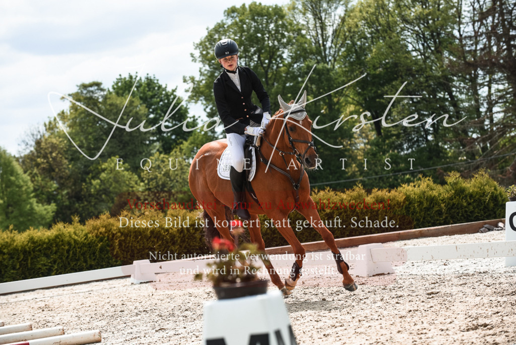 20230518_JK-Röhrsdorf-10-143 | Pferde- und Turnierfotografie in Westsachsen. Pferdeportraits, Auftragszeichnungen und intuitive Kunst.