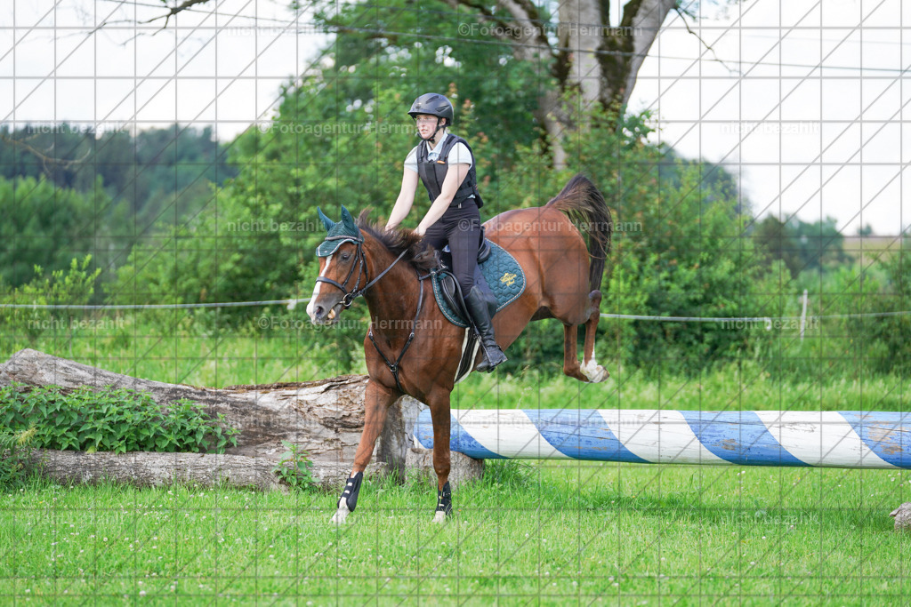 20240622-FAH07036 | Turnierfotografen Bayern, Reitsportbilder aus dem Geländekurs mit Felix Etzel auf dem Gut Waitzacker 2024