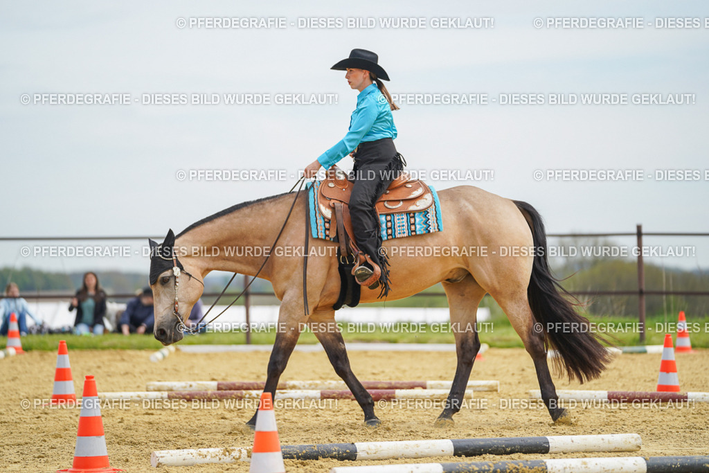 DSC03429 | Pferdegrafie