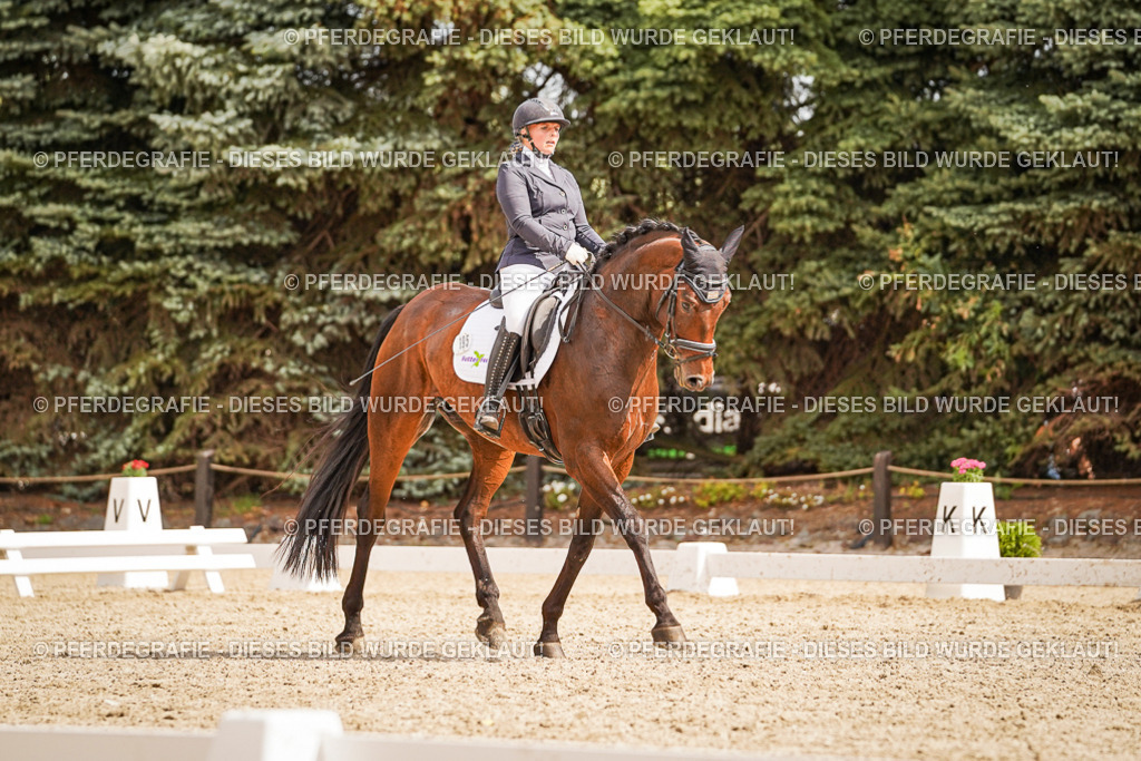 DSC01747 | Pferdegrafie