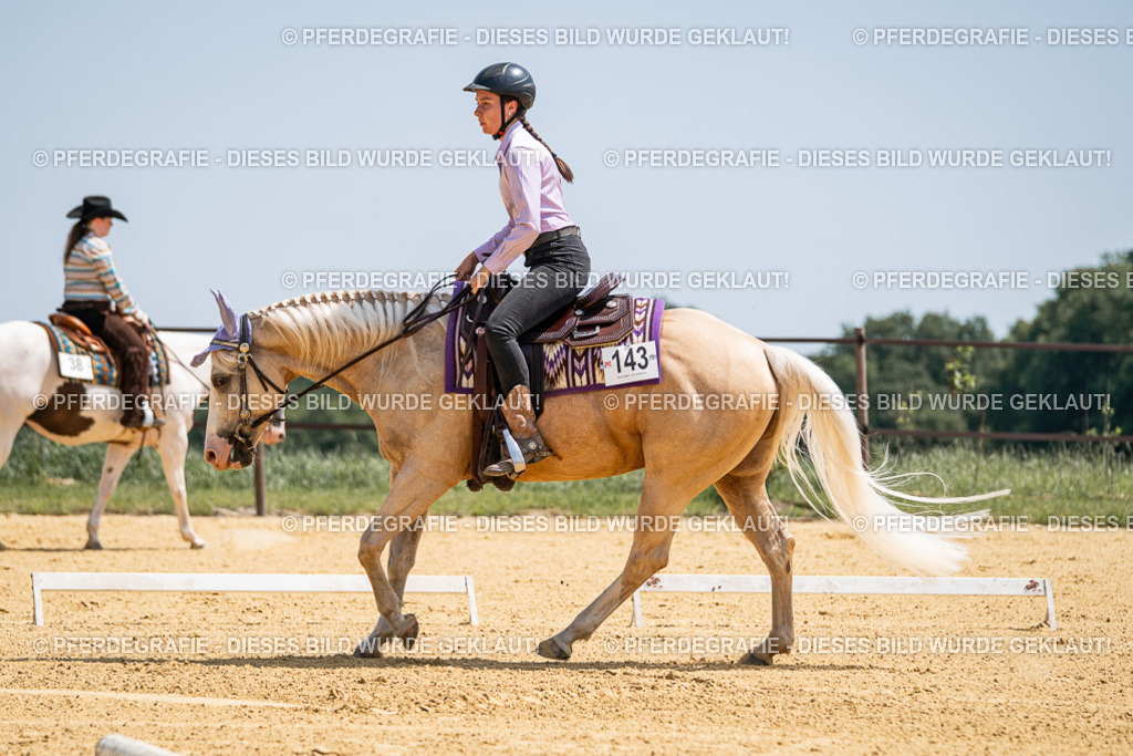 DSC01127 | Pferdegrafie