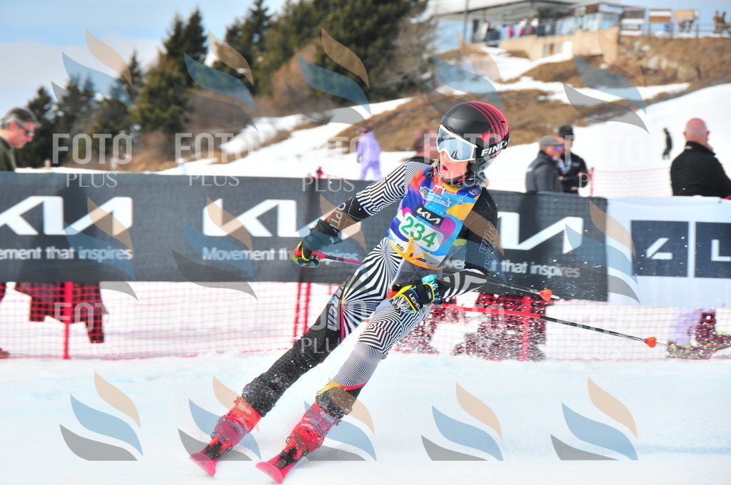 DSC_2174 | holidayphoto