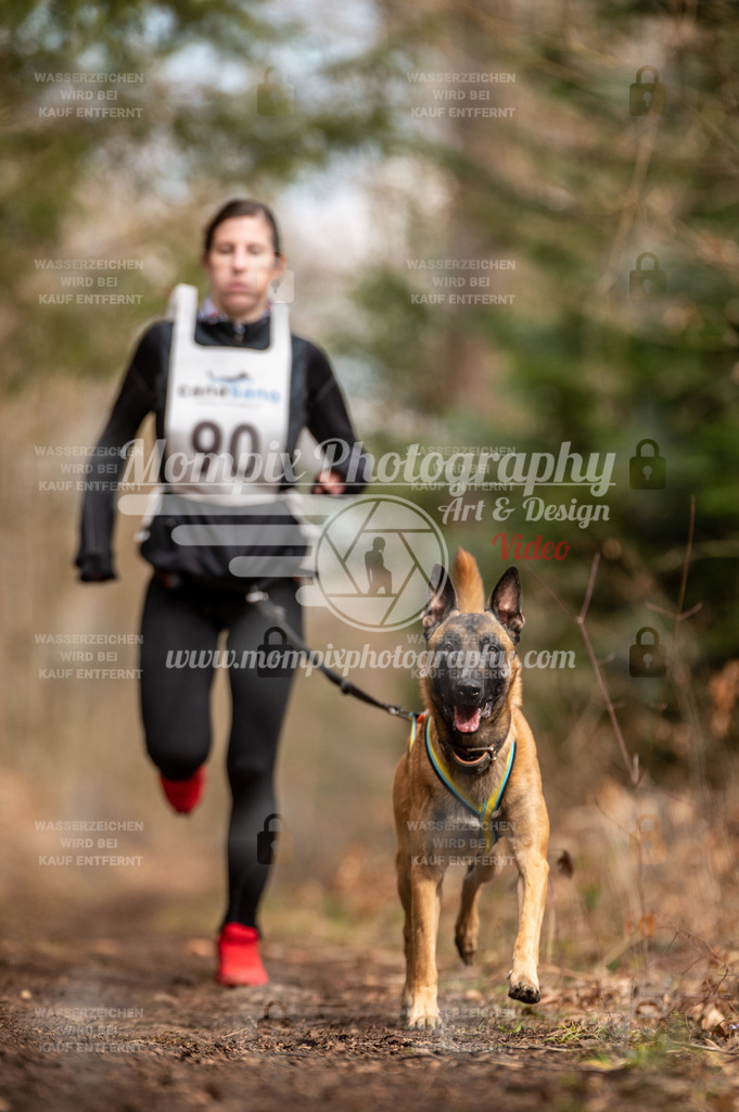 Reiat2023_SAM_CaniXRun_8km_W-5 | PayLife