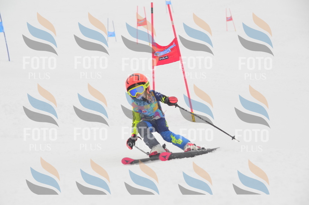 C0946 | holidayphoto