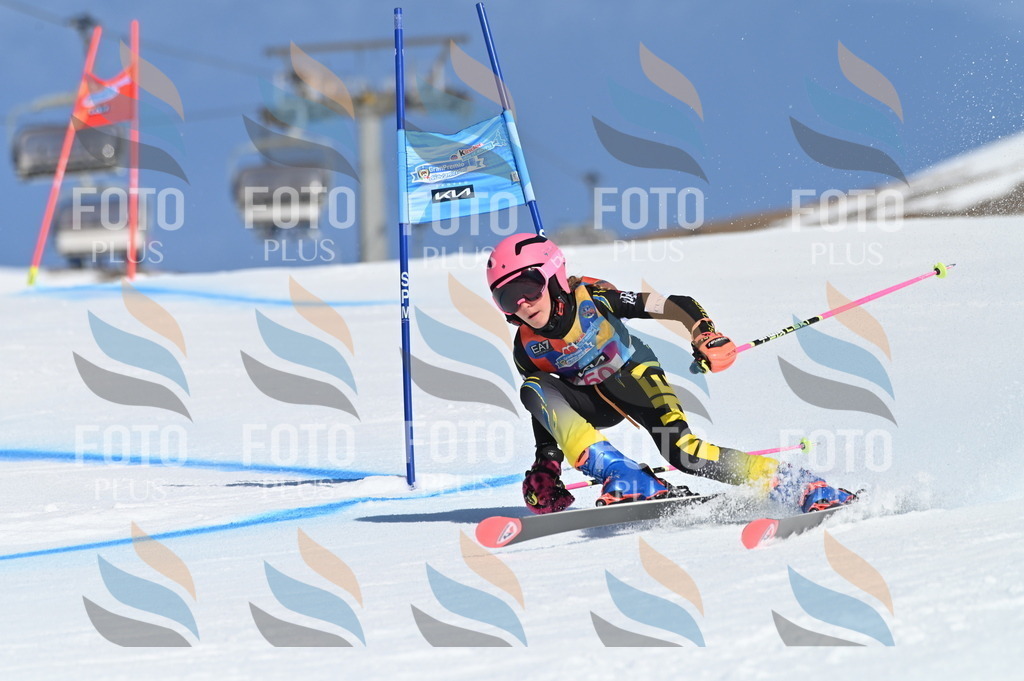 BGV_8538 | holidayphoto