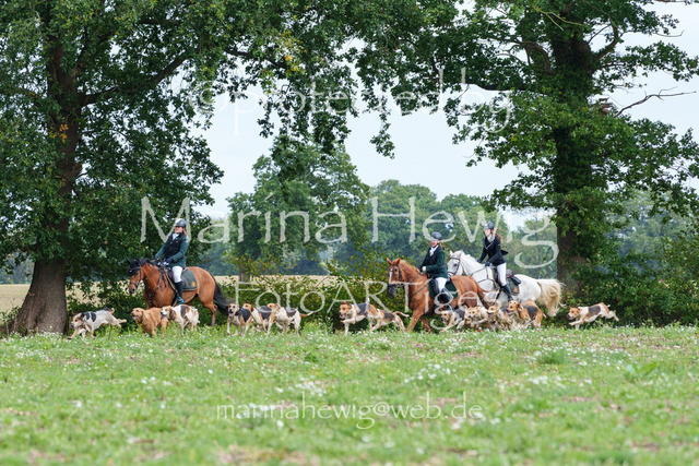 Jagd Perdoel 26 Sony-03605_MarinaHewig | Fotografie, FotoArt, PferdesportArt, Pferdesportfotografie, Landschaftsfotografie, Reisefotografie, Reise, Pferde - Realisiert mit Pictrs.com