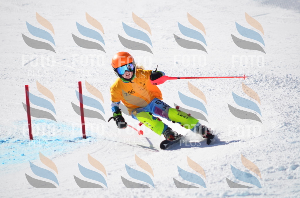 C8476 | holidayphoto