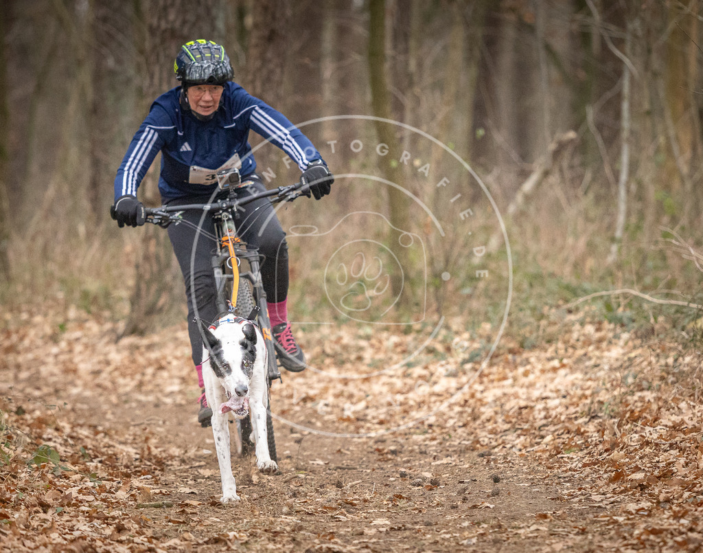 Pfotenfotografie_DV3A5372 | Hundefotografie, Tierfotograf, Pfotenfotografie, Fotoshooting Hund, Hunde Portrait, Hundesport, Hundeportraits, Heideshooting, Hunde, Sportfotograf, Hundefotograf, Turnierhundsport, THS,  - Realisiert mit Pictrs.com