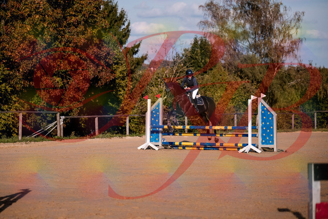 2026_10_03_Siefer-Hof_171546_Z81_13278466 | Professionelle Reitsport-, Turnier- und Eventfotografie von Robert Broda. Galerien mit ausgewählten und bearbeiteten Bildern direkt online ansehen und bestellen.