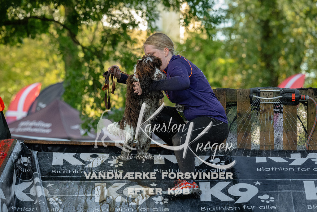 1617_ZZ92271 | kk-dogfotos