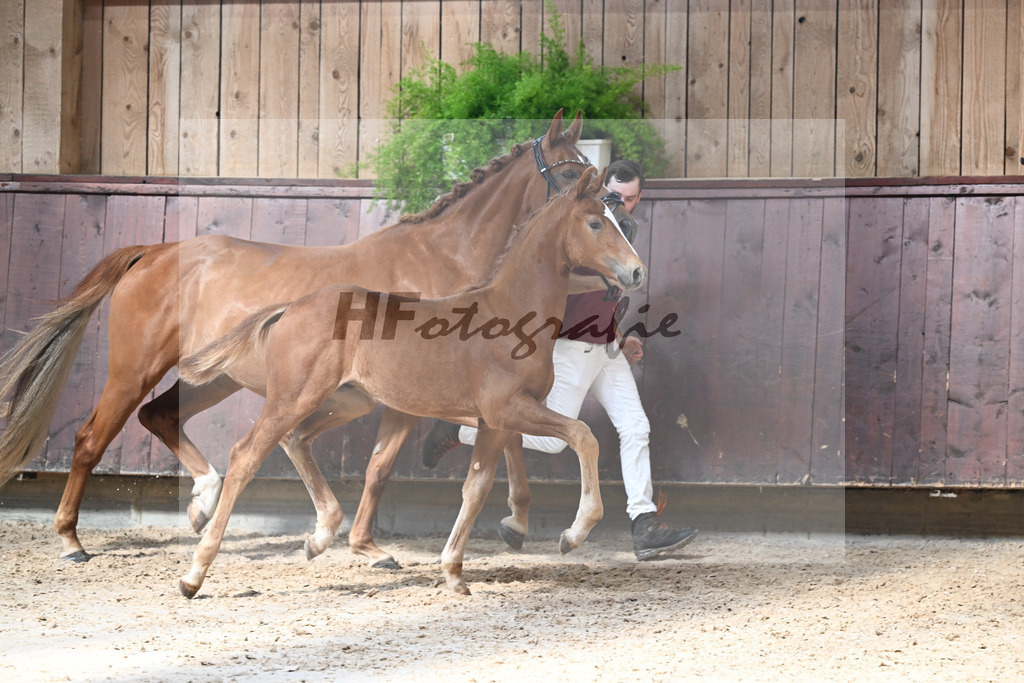 Kat-Nr. 10 Va Bene x Escolar_HF_Reisacher_25250362 | hf-fotografie - Realizzato con Pictrs.com