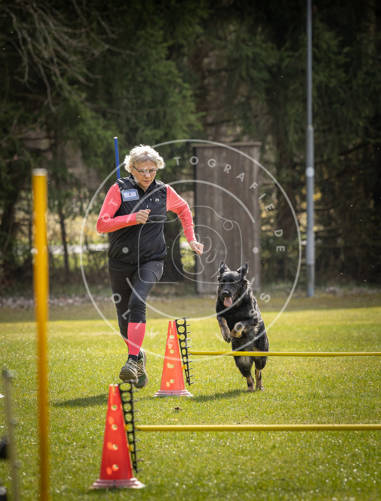 Pfotenfotografie_DV3A9119 | Hundefotografie, Tierfotograf, Pfotenfotografie, Fotoshooting Hund, Hunde Portrait, Hundesport, Hundeportraits, Heideshooting, Hunde, Sportfotograf, Hundefotograf, Turnierhundsport, THS,  - Realisiert mit Pictrs.com