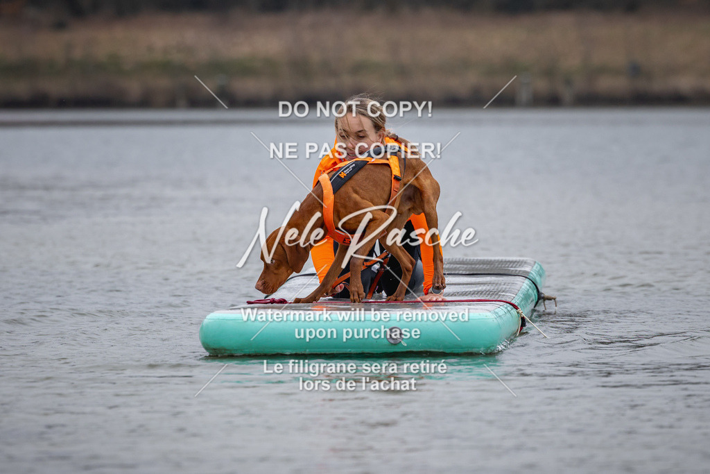 nelerasche_Hulsbeek_Sa1600-1700_01 | nelerasche