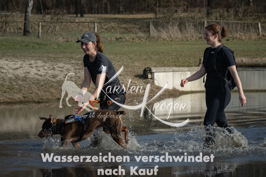 1418_ZZ90132 | kk-dogfotos