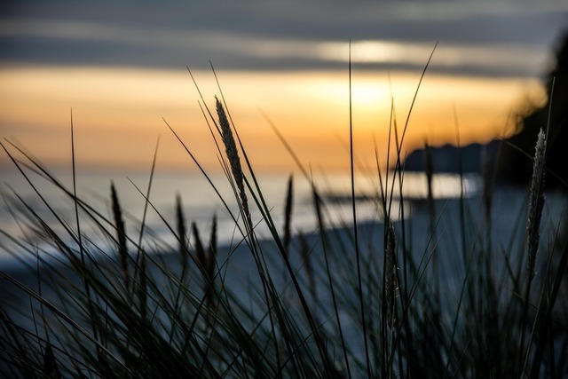 fc-6 | G-VBJNHHY5Q4 #phowoto #wolfgang #weber #Hamburg #germany #photography #sell #picturestobuy #buy #pictures #sell #sport #travel #architecture #city #street #makro  - Realized with Pictrs.com