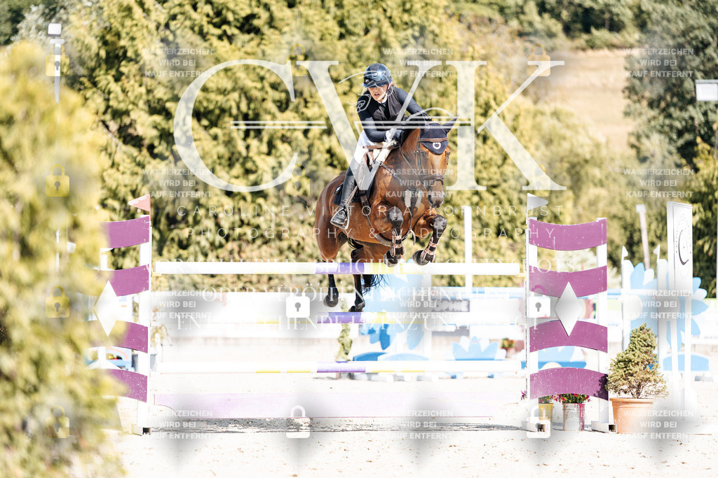 CK909062 | Turnierfotografie Pferdefotografie Trier Rheinland-Pfalz Pferdesport Reitsport Tierfotografie Sportfotografie Pferdevideo Pferdevideografie Equestrianvideography equestrianphotography  - Realisiert mit Pictrs.com
