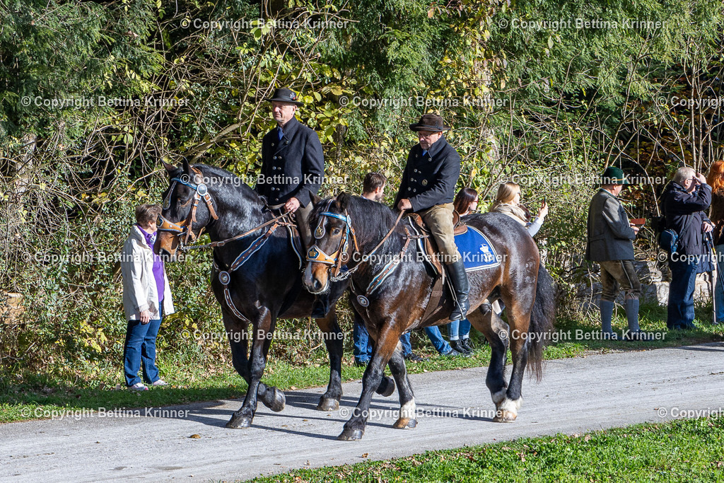 LBT24-863 | foto-bettina-krinner - Realisiert mit Pictrs.com