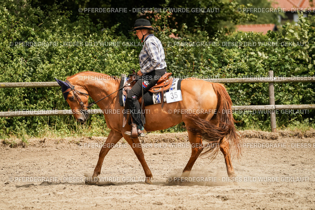 DSC09971 | Pferdegrafie