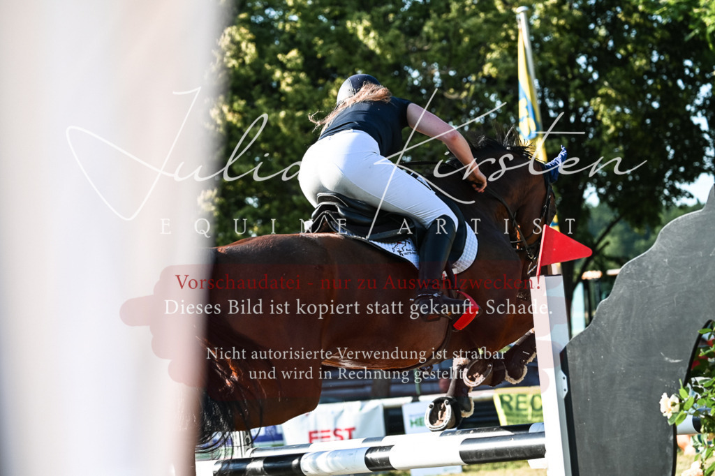 DSC_2916 | Pferde- und Turnierfotografie in Westsachsen. Pferdeportraits, Auftragszeichnungen und intuitive Kunst.