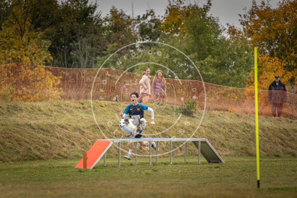 Pfotenfotografie_DV3A1545 | Hundefotografie, Tierfotograf, Pfotenfotografie, Fotoshooting Hund, Hunde Portrait, Hundesport, Hundeportraits, Heideshooting, Hunde, Sportfotograf, Hundefotograf, Turnierhundsport, THS,  - Realisiert mit Pictrs.com