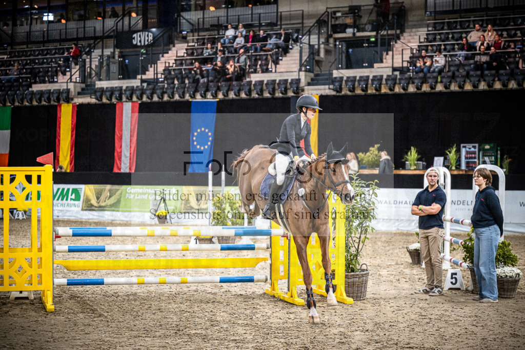 DOS_0045 | Entdecke hochwertige Reitturnierfotos von Foto Oger. Professionell, emotional und authentisch – jetzt Lieblingsmomente im Shop bestellen.Deutschlandweite Turnierfotografie. - Realisiert mit Pictrs.com