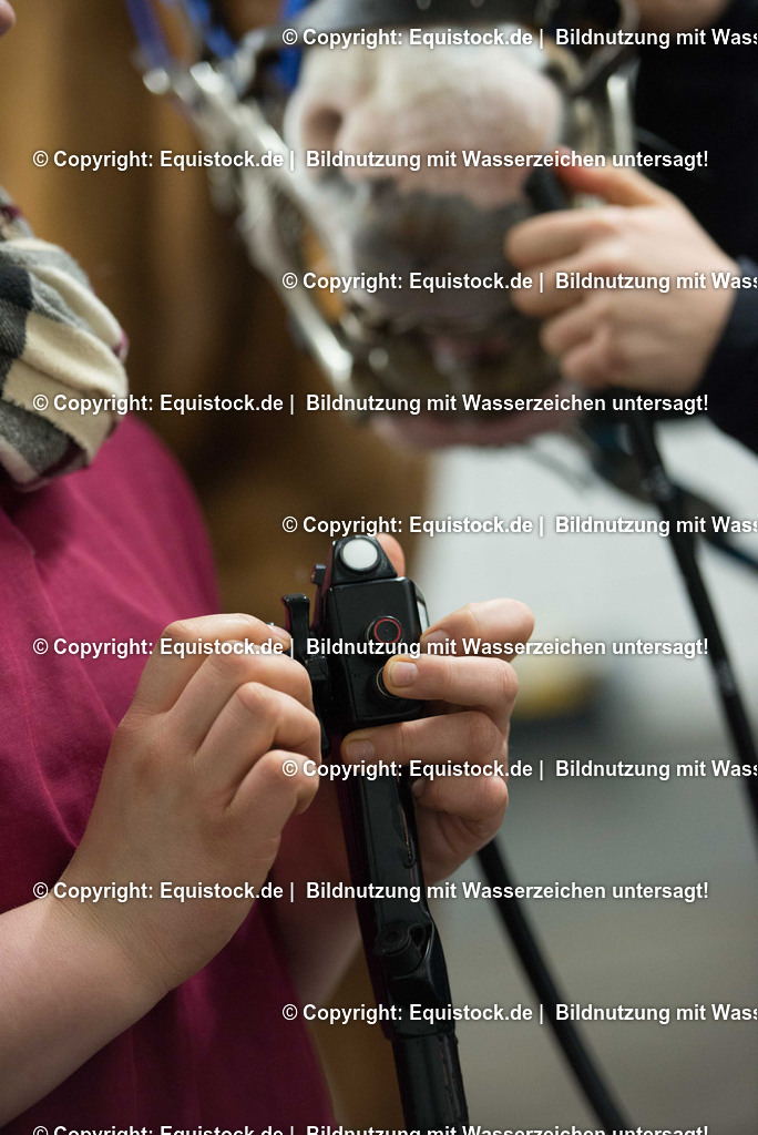 20170113_Endoskopie_0014 | Foto: Thomas Hartig