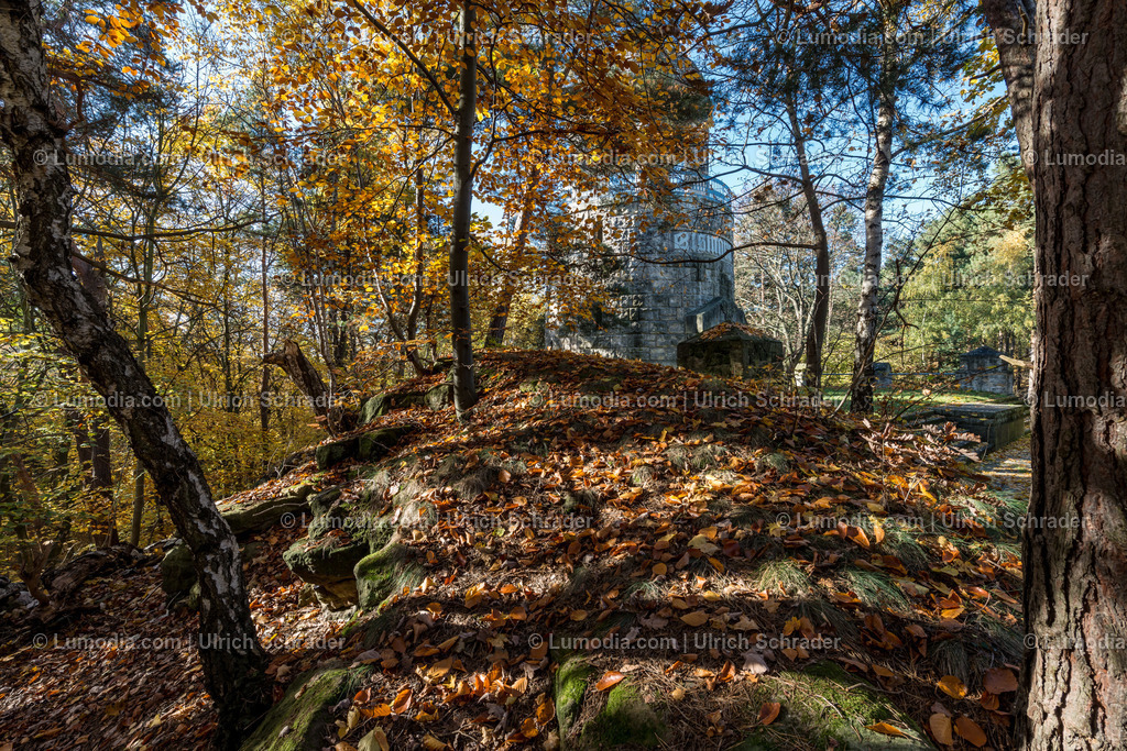 10049-4650 - Landschaftspark Spiegelsberge | Stockfoto und Bilderpool mit Bildmaterial aus Deutschland, dem Harz, Halberstadt, Quedlinburg, Wernigerode und weltweit. Qualitativ hochwertige und professionelle Fotos anschauen und kaufen. - Realisiert mit Pictrs.com