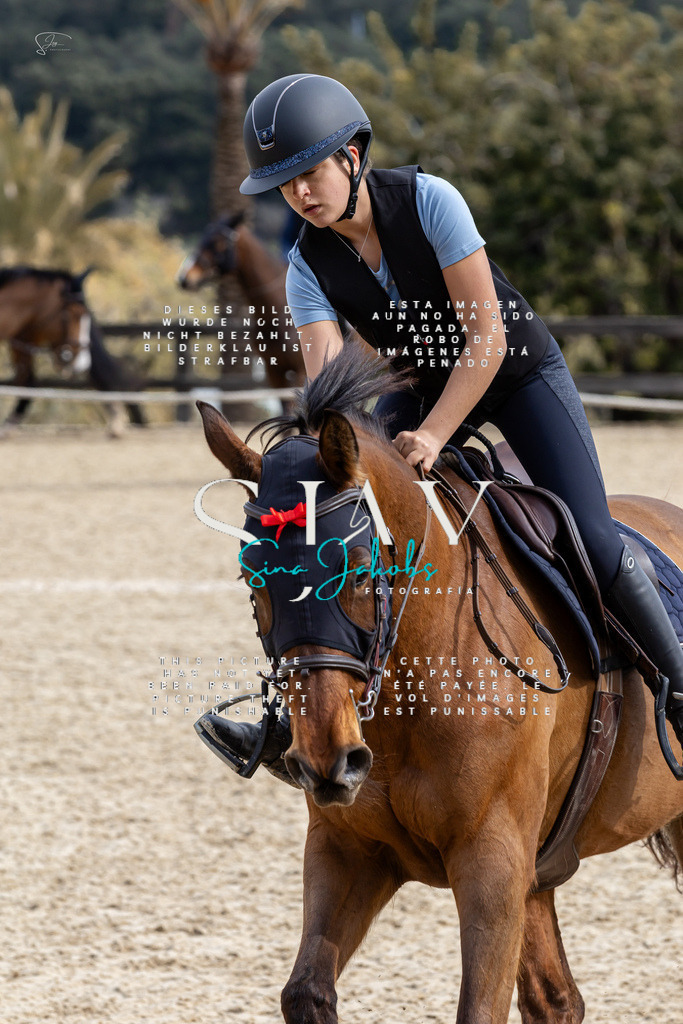 IMG_3553 | s-jay-photography - Realisiert mit Pictrs.com