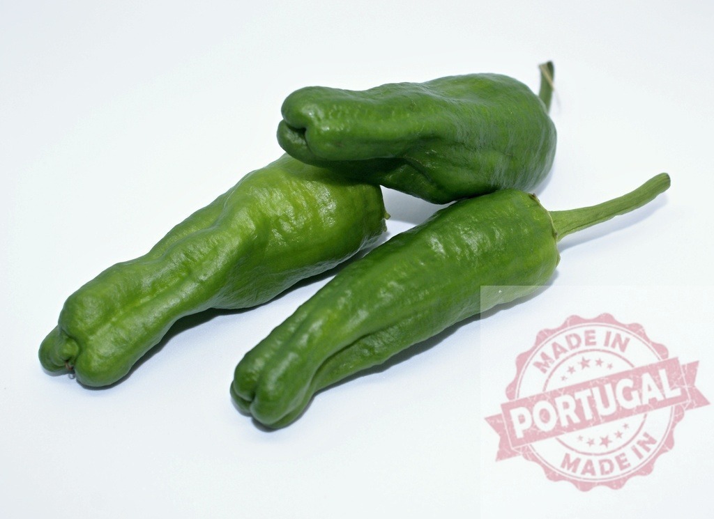 Pimientos de Padrón green peppers on white background | Pimientos de Padrón green peppers presenting healthy fresh vegetable food ingredients - Realisiert mit Pictrs.com