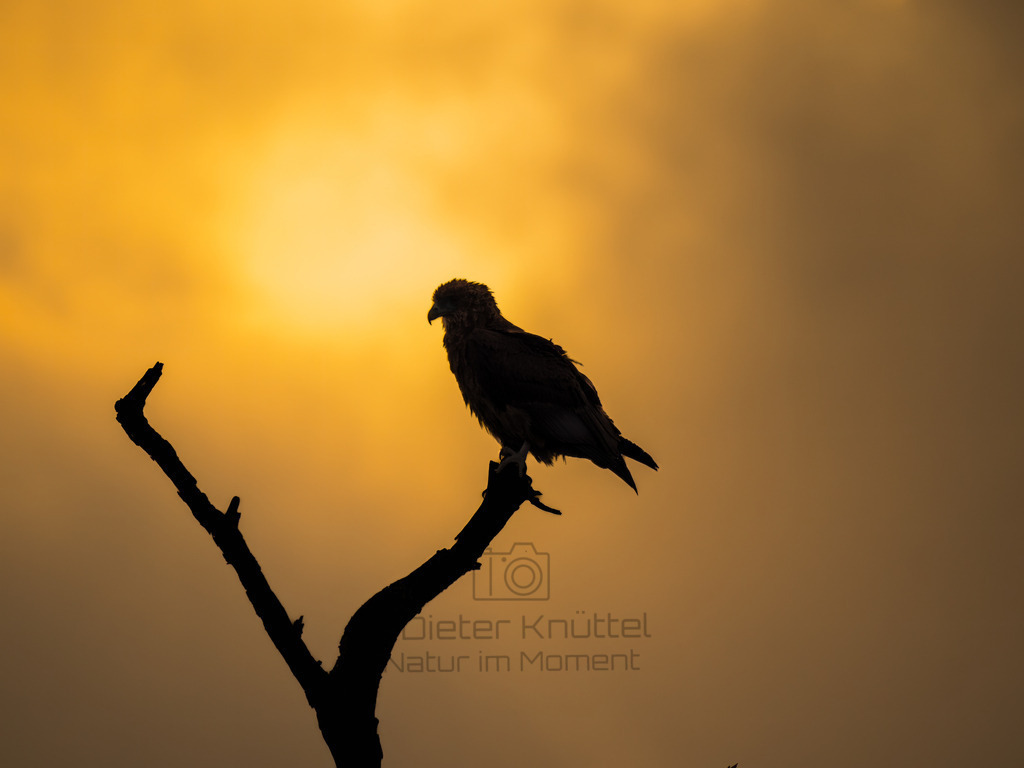 PANA1846-Bearbeitet-2017-LR | Natur im Moment - Realisiert mit Pictrs.com